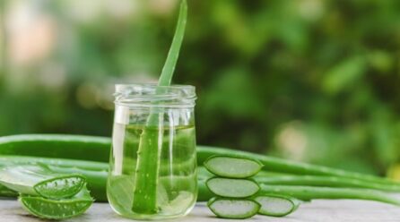 The Benefits Of Using Aloe Vera Are Numerous