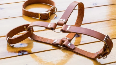 <strong>Best Leather Dog Harness</strong>